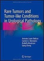 Rare Tumors And Tumor-Like Conditions In Urological Pathology
