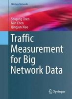 Traffic Measurement For Big Network Data (Wireless Networks)