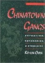 Chinatown Gangs: Extortion, Enterprise, And Ethnicity (Studies In Crime And Public Policy)