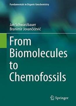 From Biomolecules To Chemofossils (fundamentals In Organic Geochemistry)