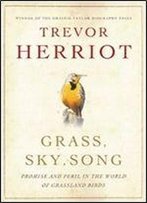 Grass, Sky, Song: Promise And Peril In World Of Grassland Birds