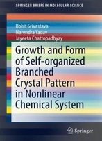 Growth And Form Of Self-Organized Branched Crystal Pattern In Nonlinear Chemical System (Springerbriefs In Molecular Science)