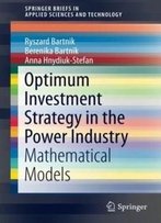 Optimum Investment Strategy In The Power Industry: Mathematical Models (Springerbriefs In Applied Sciences And Technology)