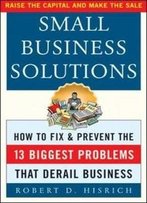 Small Business Solutions : How To Fix And Prevent The 13 Biggest Problems That Derail Business