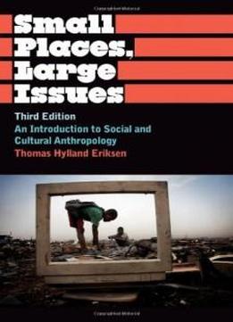 Small Places, Large Issues: An Introduction To Social And Cultural Anthropology, Third Edition (anthropology, Culture And Society)