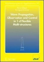 Wave Propagation, Observation And Control In 1-D Flexible Multi-Structures (Mathematiques Et Applications)