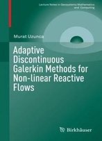 Adaptive Discontinuous Galerkin Methods For Non-Linear Reactive Flows (Lecture Notes In Geosystems Mathematics And Computing)