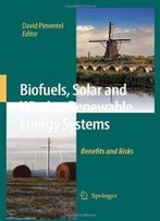 Biofuels, Solar And Wind As Renewable Energy Systems: Benefits And Risks