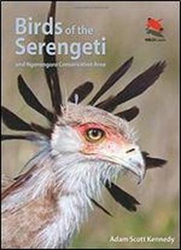 Birds Of The Serengeti: And Ngorongoro Conservation Area (wildlife Explorer Guides)