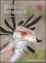 Birds Of The Serengeti: And Ngorongoro Conservation Area (Wildlife Explorer Guides)