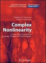 Complex Nonlinearity: Chaos, Phase Transitions, Topology Change And Path Integrals (Understanding Complex Systems)