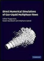 Direct Numerical Simulations Of Gas-Liquid Multiphase Flows (Cambridge Monographs On Applied & Computational Mathematics)