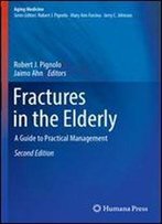 Fractures In The Elderly: A Guide To Practical Management (Aging Medicine)