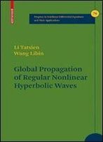 Global Propagation Of Regular Nonlinear Hyperbolic Waves (Progress In Nonlinear Differential Equations And Their Applications, No. 76 )