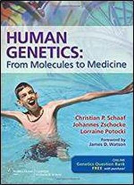 Human Genetics: From Molecules To Medicine