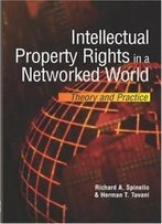 Intellectual Property Rights In A Networked World:: Theory And Practice