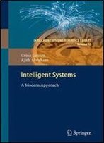 Intelligent Systems: A Modern Approach (Intelligent Systems Reference Library)