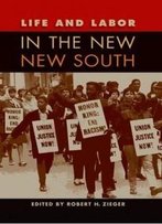 Life And Labor In The New New South (Working In The Americas)