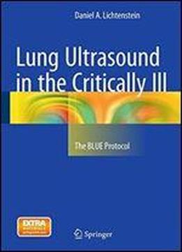 Lung Ultrasound In The Critically Ill: The Blue Protocol