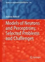 Models Of Neurons And Perceptrons: Selected Problems And Challenges (Studies In Computational Intelligence)