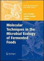 Molecular Techniques In The Microbial Ecology Of Fermented Foods (Food Microbiology And Food Safety)