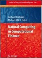 Natural Computing In Computational Finance (Studies In Computational Intelligence)