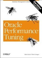 Oracle Performance Tuning (Nutshell Handbooks)