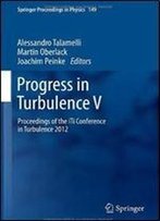 Progress In Turbulence V: Proceedings Of The Iti Conference In Turbulence 2012 (Springer Proceedings In Physics)
