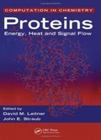 Proteins: Energy, Heat And Signal Flow (Computation In Chemistry)