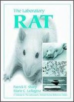 The Laboratory Rat / Plasticcomb (Volume 12)