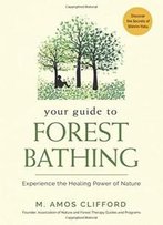 Your Guide To Forest Bathing: Experience The Healing Power Of Nature