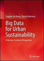 Big Data For Urban Sustainability: A Human-Centered Perspective