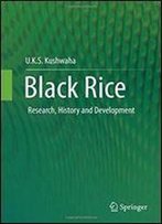 Black Rice: Research, History And Development