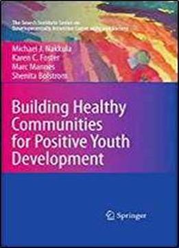 Building Healthy Communities For Positive Youth Development (the Search Institute Series On Developmentally Attentive Community And Society)
