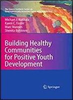 Building Healthy Communities For Positive Youth Development (The Search Institute Series On Developmentally Attentive Community And Society)