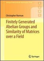 Finitely Generated Abelian Groups And Similarity Of Matrices Over A Field