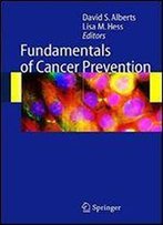 Fundamentals Of Cancer Prevention 1st Edition