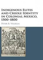 Indigenous Elites And Creole Identity In Colonial Mexico, 1500-1800 (Cambridge Latin American Studies)