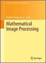 Mathematical Image Processing: University Of Orleans, France, March 29th - April 1st, 2010 (Springer Proceedings In Mathematics)