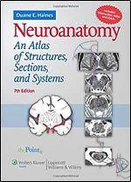 Neuroanatomy: An Atlas Of Structures, Sections, And Systems (point (lippincott Williams & Wilkins))