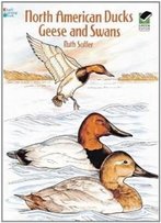 North American Ducks, Geese And Swans (Dover Nature Coloring Book)