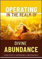 Operating In The Realm Of Divine Abundance