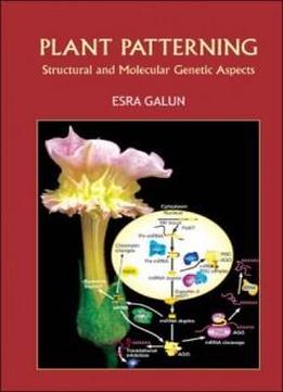Plant Patterning: Structural And Molecular Genetic Aspects
