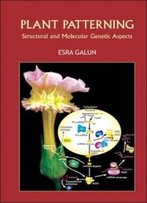 Plant Patterning: Structural And Molecular Genetic Aspects
