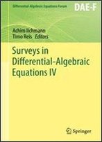 Surveys In Differential-Algebraic Equations Iv (Differential-Algebraic Equations Forum)