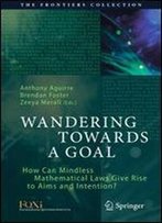 Wandering Towards A Goal: How Can Mindless Mathematical Laws Give Rise To Aims And Intention? (The Frontiers Collection)