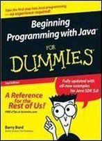 Beginning Programming With Java For Dummies 1st Edition