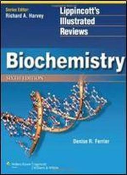 Biochemistry (6th Edition)