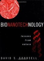 Bionanotechnology: Lessons From Nature