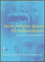 From Monkey Brain To Human Brain: A Fyssen Foundation Symposium (Mit Press)